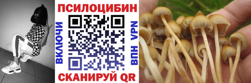 Купить где  Верхняя Салда  Псилоцибиновые грибы мухоморы 